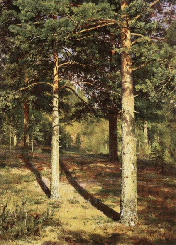 Ivan Shishkin Pine Wood Illuminated by the Sun